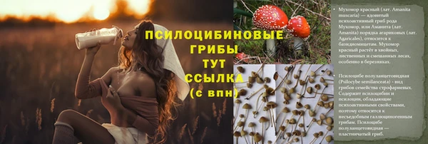 гидра Алзамай