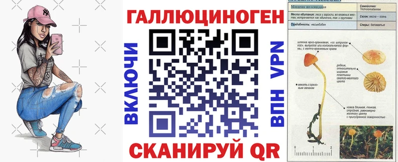 мега рабочий сайт  Новомичуринск  Галлюциногенные грибы прущие грибы 